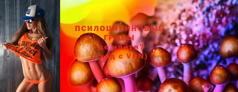 Псилоцибиновые грибы Psilocybine cubensis  MEGA онион  Кондрово 